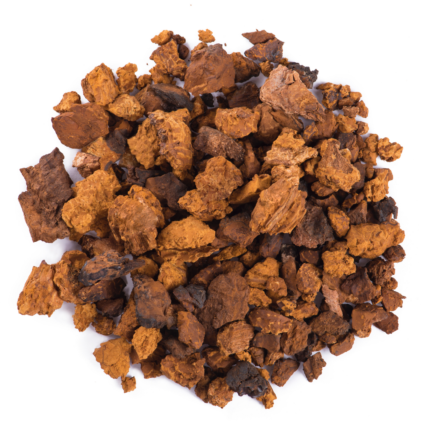 Image of Chaga mushroom shown