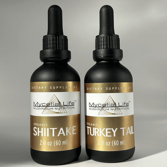 Organic Shiitake Mushroom Extract 2 oz bottle next to Organic Turkey Tail Mushroom Extract 2 oz bottle