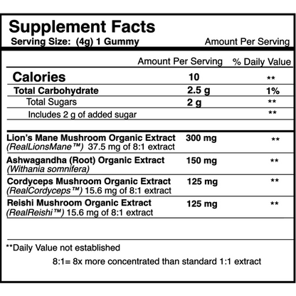 ULTRA FOCUS Daytime Mushroom Gummies